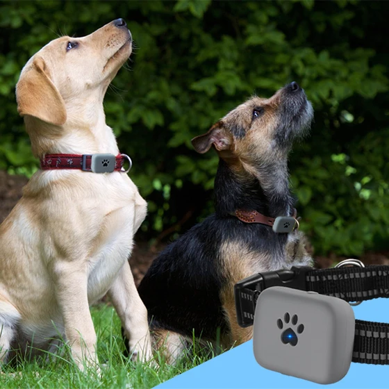 A21P strong waterproof gps pet tracker with long battery life