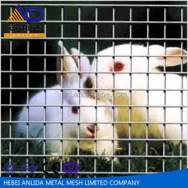 Оцинкованная сварная проволочная сетка/дешевая оцинкованная сварная проволочная сетка для кроличьей клетки