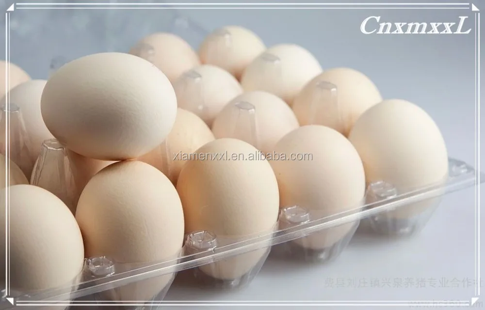 30 holes packs plastic blister eggs boxes