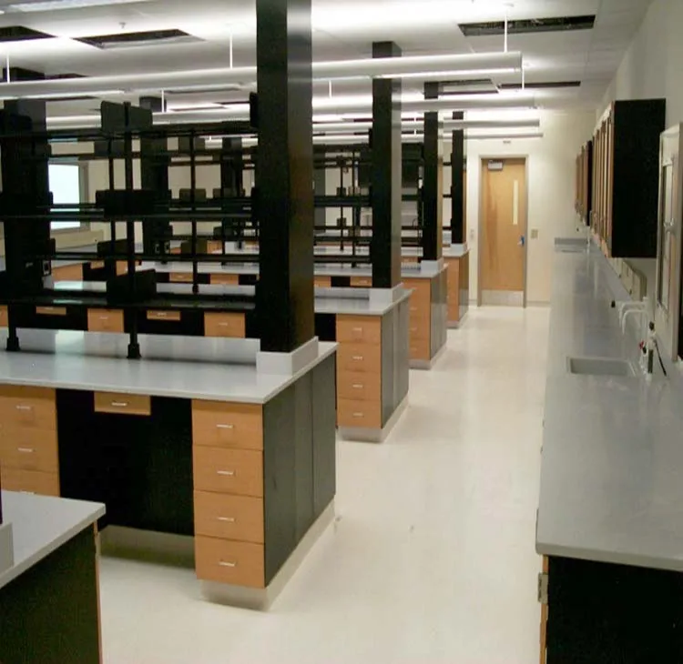 
Biology Lab Furniture Science School Laboratory Furniture for laboratory 