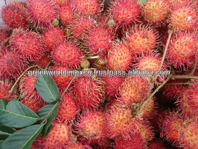 TASTY FRESH RAMBUTAN COMPETITIVE PRICE