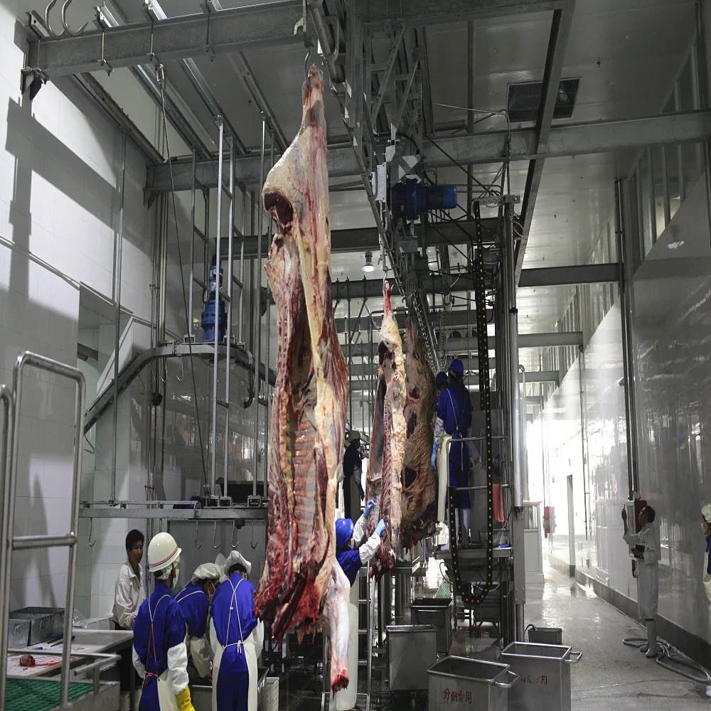 Complete Slaughterhouse Machine Halal Cattle Slaughter Line Equipment for Butcher Workshop