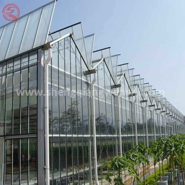 China supplier custom design orchid glass greenhouse