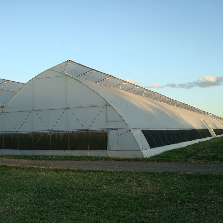 Low Cost Fixed Poly Tunnel Seed Greenhouse For Vegetable