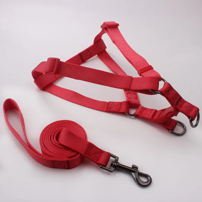 2020 новый стиль высококачественный цветной удобный поводок для собаки