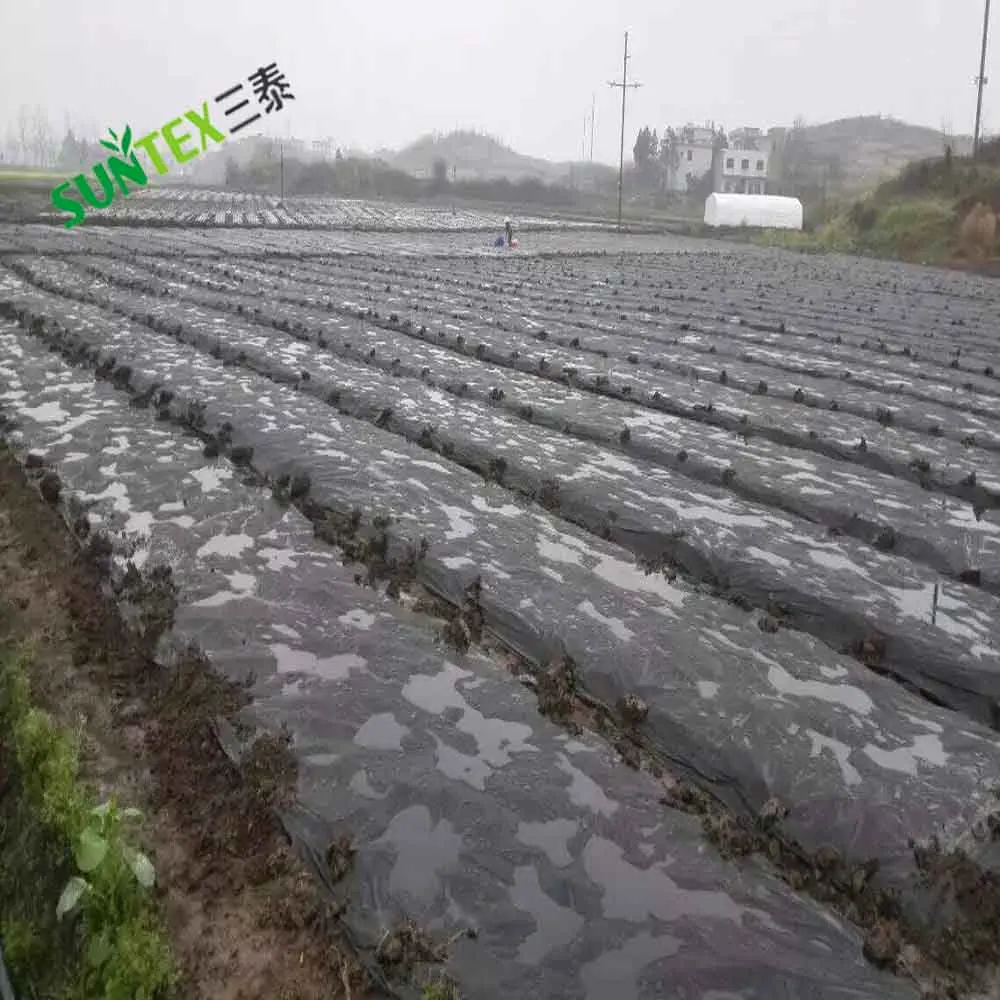 Strawberry Greenhouse Ground Cover Poly Film 20 Micron Black Pest Control Mulch Film 1*500m
