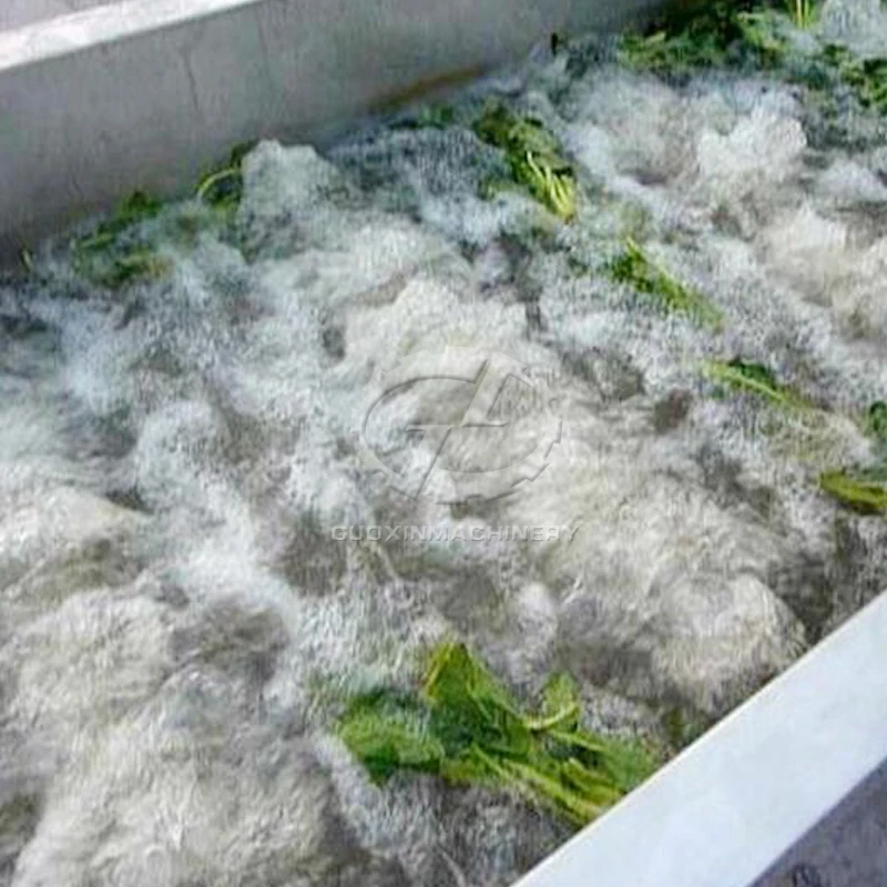 Wheat washing and drying machine pakistan semi-automatic washing machine manufacturer