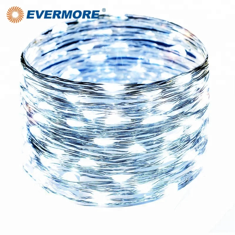Evermore Mini Micro Copper Wire Led Fairy String Light