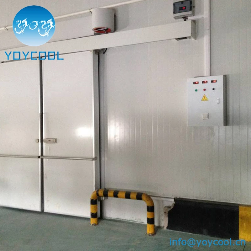 Промышленные используется шоковой заморозки и индивидуальные холодной комнате для рыбы на продажу