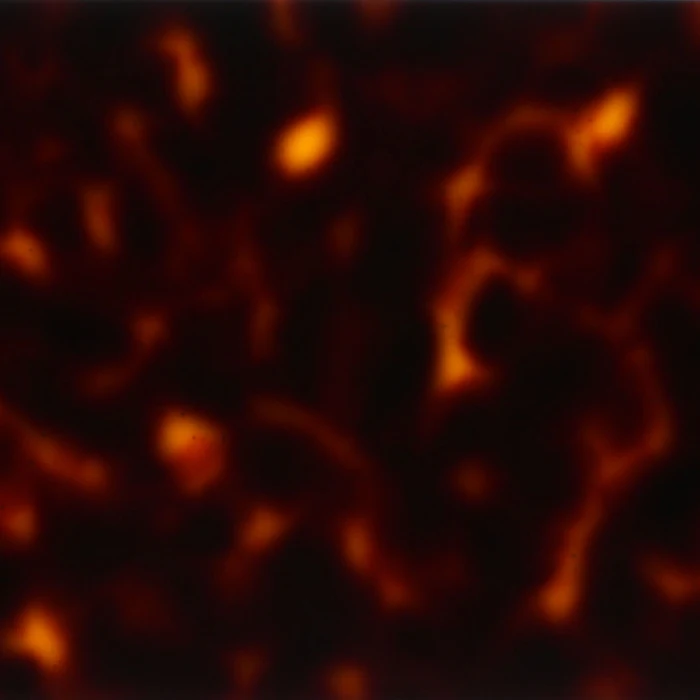 Cellulose Acetate Plastic Sheet for sunglasses eyewear jewelry combs frames hair clip