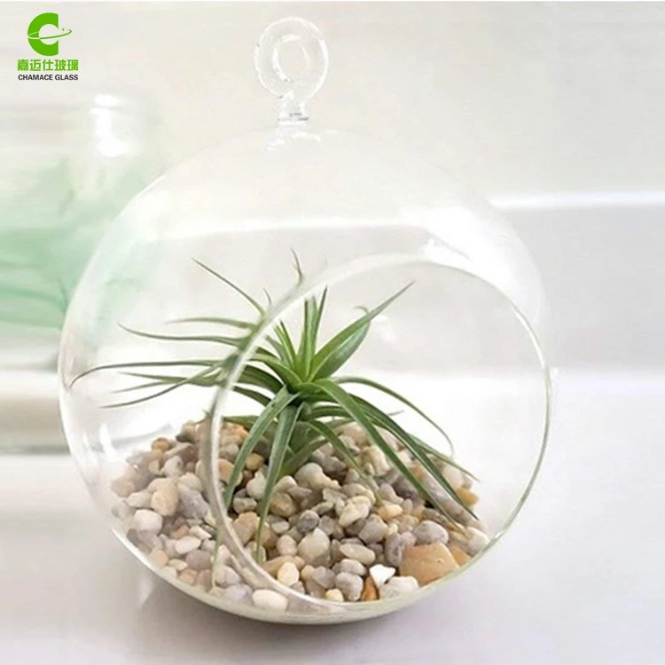 Hanging Glass Globes, Wholesale Terrarium Containers, Glass Vase Cheap