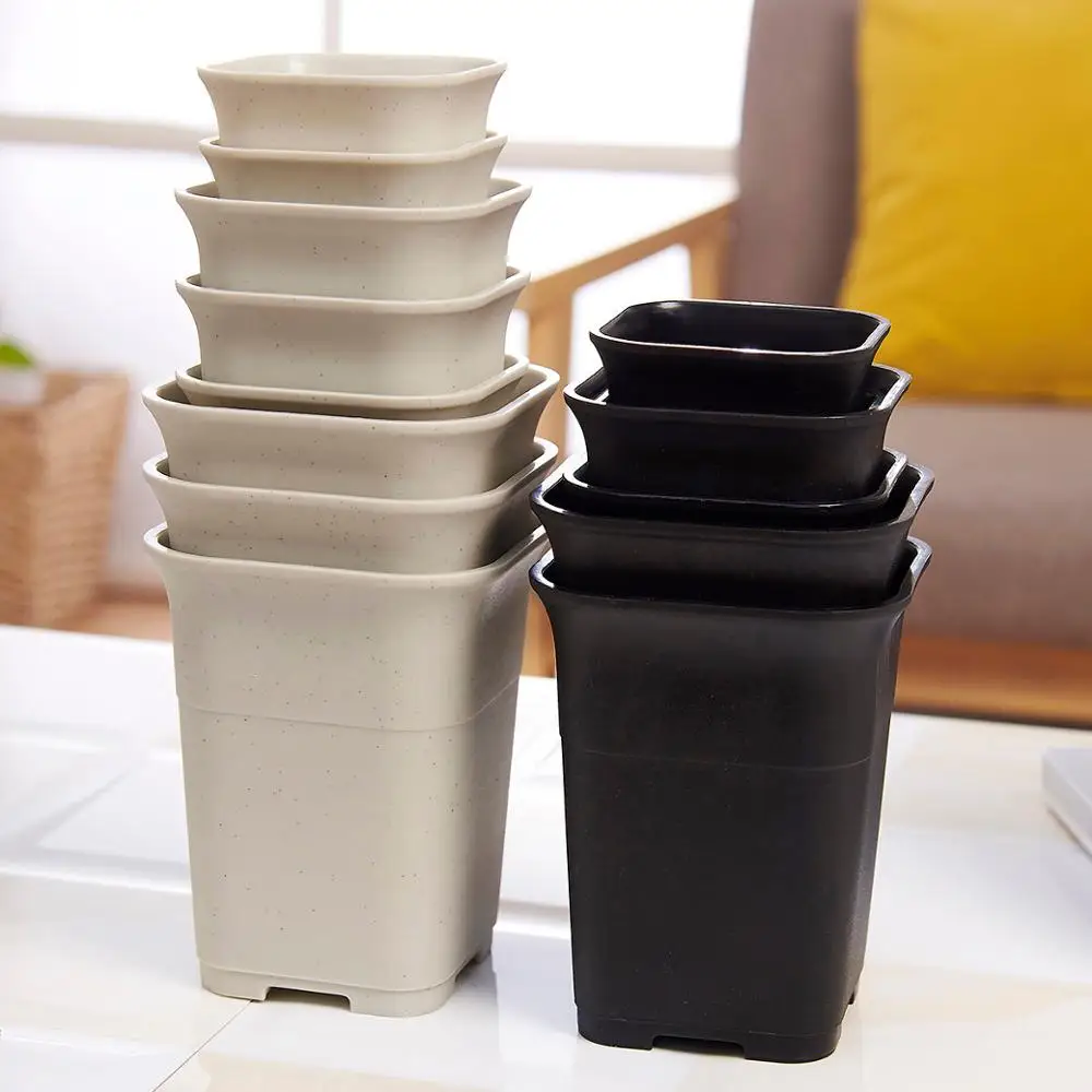 Buy Tall Square White Black Plastic Succulent Planters Haworthia Maughanii Flower Pot