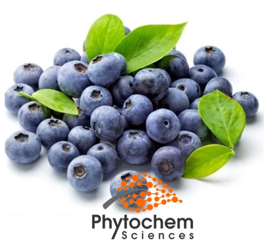 Factory supply Organic blueberry juice extract powder