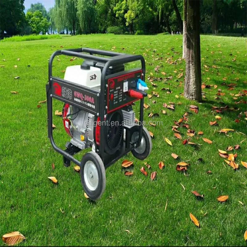 160A 300A electric welding machine with generator