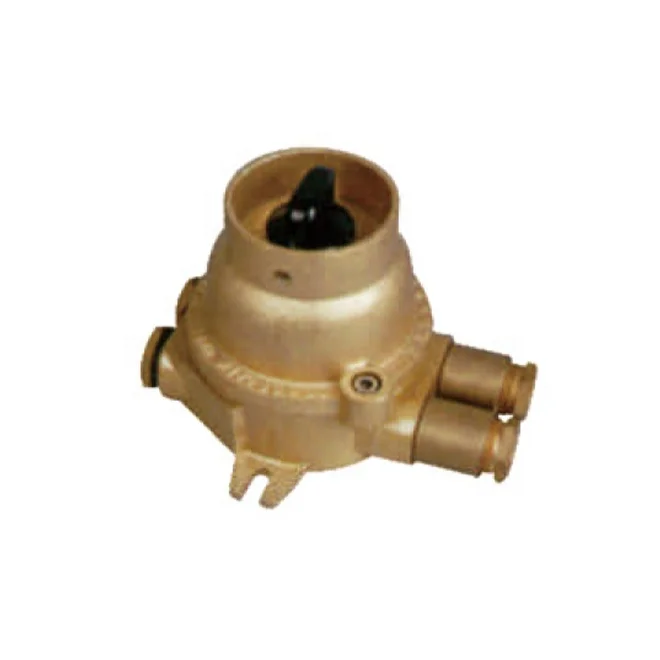 DCHH202-2A Industrial Brass Explosion-proof Ship Marine Switch IP56