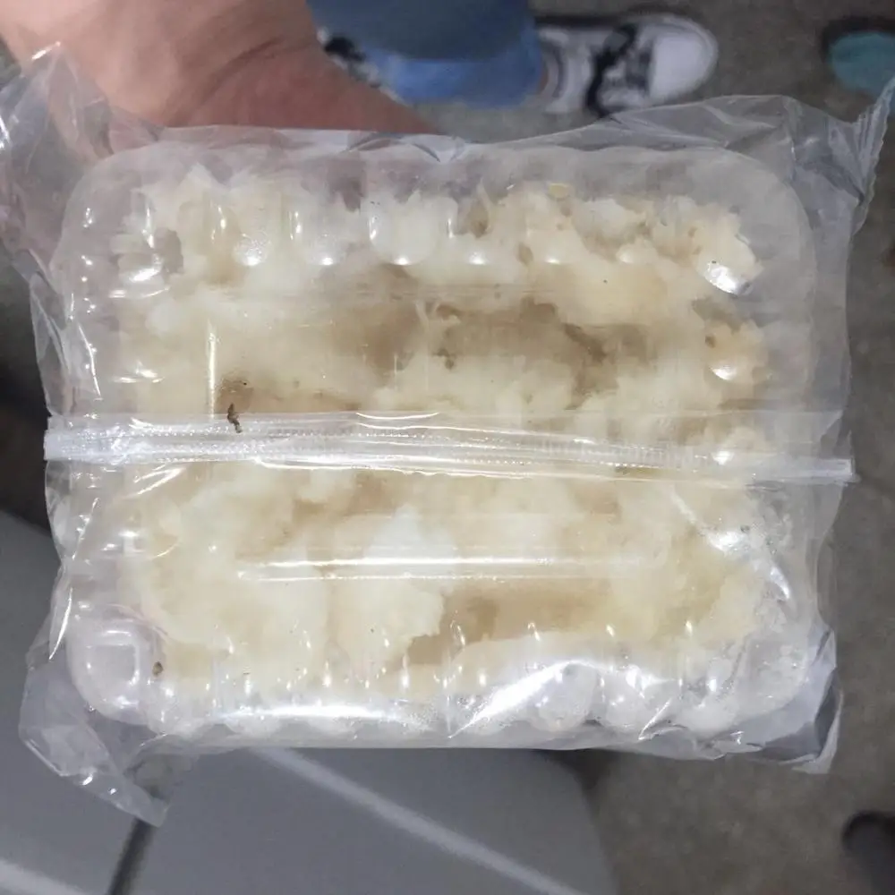 Detan High Quality Dried Sparassis Crispa Mushroom