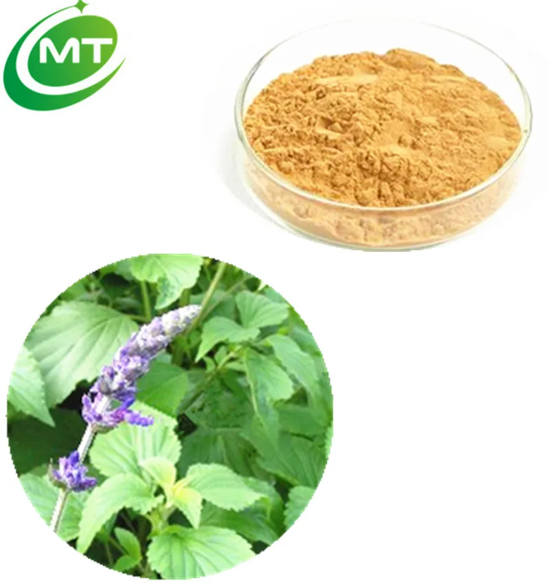 Органический экстракт Nepeta Cataria порошок кошачьей