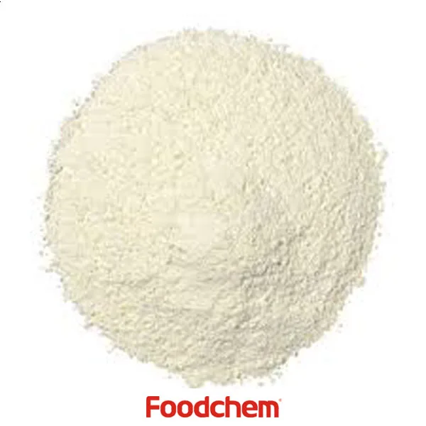 Dehydrated White Onion Powder A GRADE