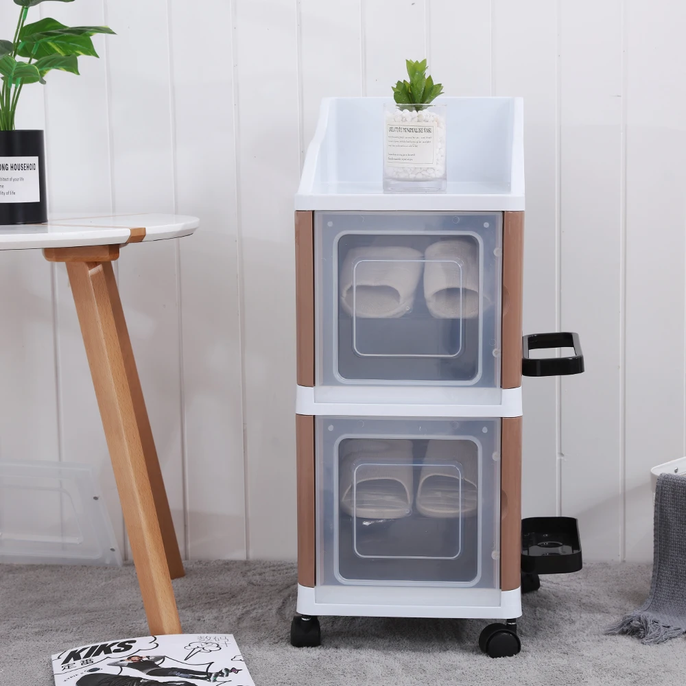 Plastic shoe cabinet with door
