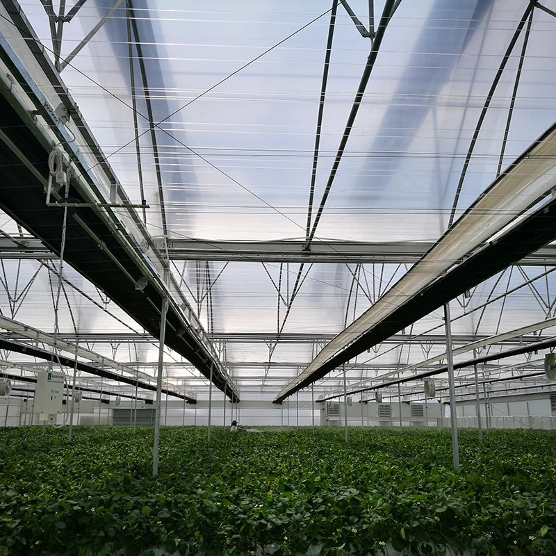 
11%-85% Shading Rate System For Greenhouse 