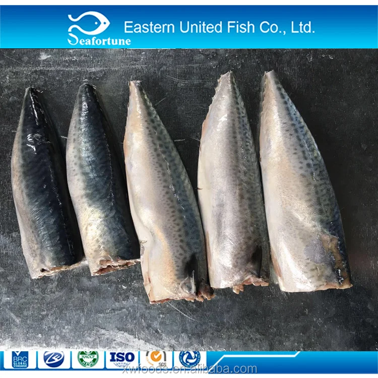 Russia and Europe approved plant seafrozen BQF pacific mackerel