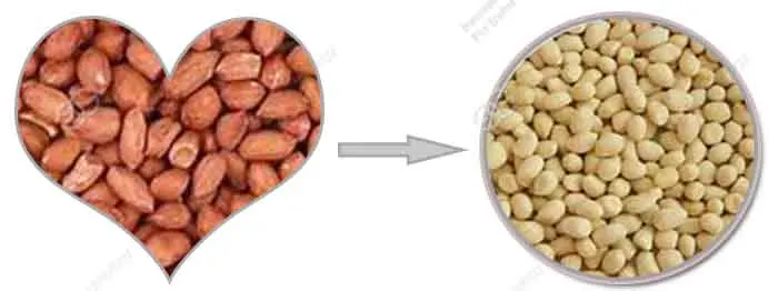 Пилинг машина для жареного арахиса | Индия арахисовый пилинг машина | Жареный арахисовый пилинг машина