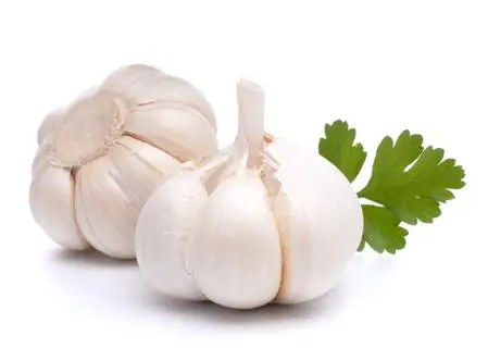 
synthetic garlic oil,garlic oil,garlic extract oil 