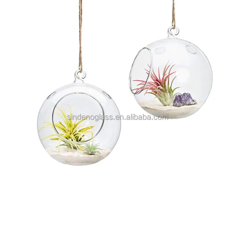 Hanging Glass Planter Round Air Plant Terrarium Glass Decorations for Succulent Tillandsia