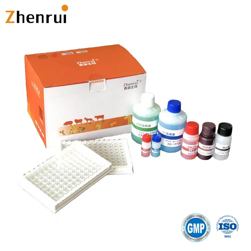
Veterinary equipment Bovine Brucellosis Ab Elisa Test Kit Quantitative Elisa Kit 