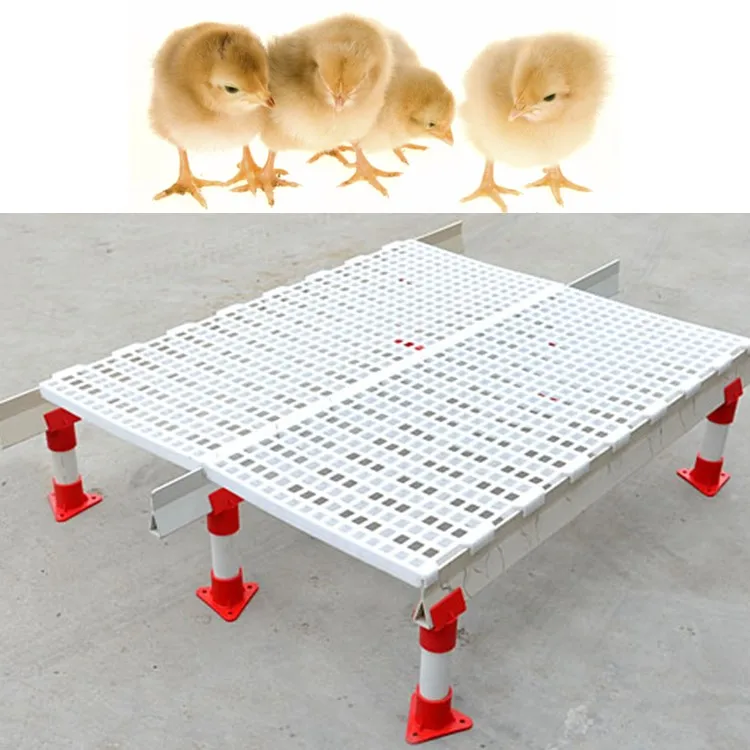 The Animal Husbandry And Livestock Breeding Elegant Leakage Dung Plate