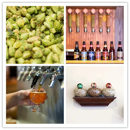 draft beer raw material