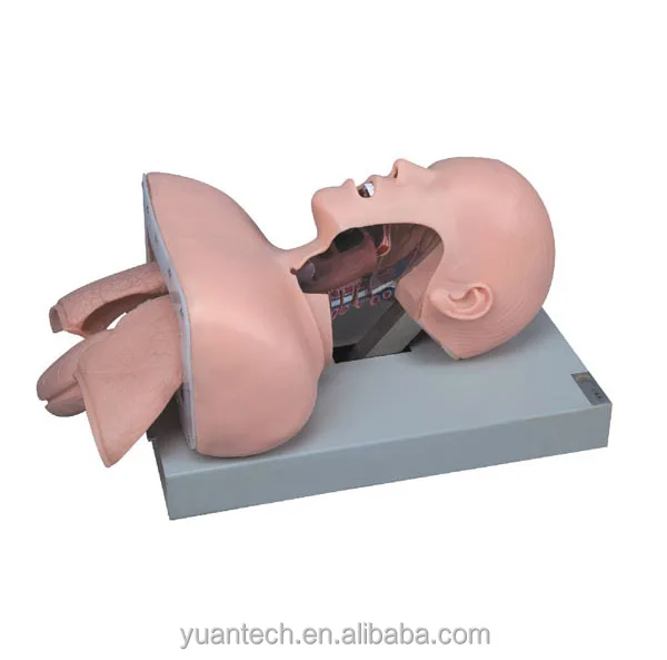 Маникин для интубации Trachea экстренный манекен тренировки навыков