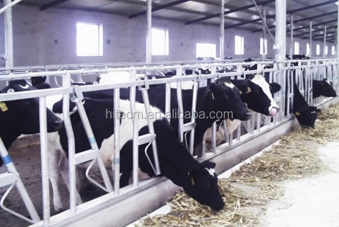 Hot dip galvanized cow fence cattle fence cattle panel