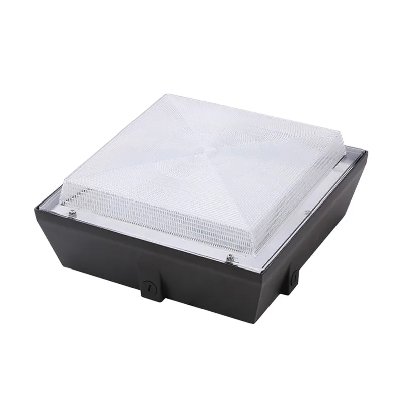 
ETL/cETL & DLC 40W IP65 Indoor Lighting LED Canopy Light 