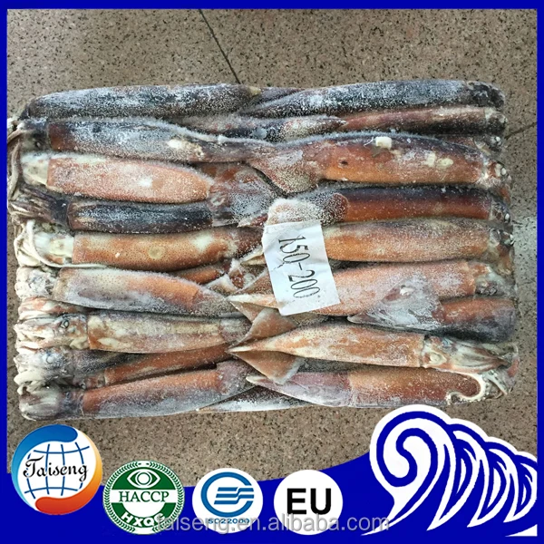 cleaned seafood todarodes squid tube U8 U10 frozen squid price wholesale