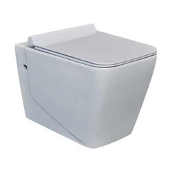 wall-hung rimless toilet bathroom cistern hidden sanitary ware