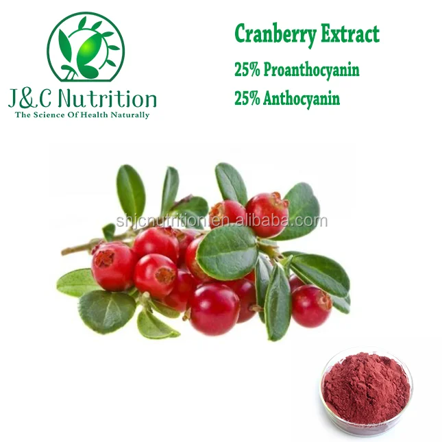 Hot selling High Quality Proanthocyanidins Powder Cranberry Extract, Cranberry powder