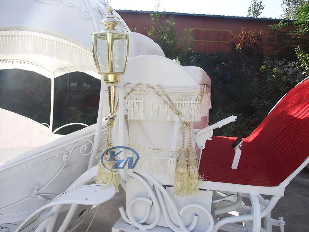 
Horse Carriage Customized design YZN Pumpkin Horse Drawn Carriage European Style 