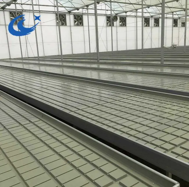 Hydroponic Fodder Table Grow Trays ABS ebb flow Rolling Bench