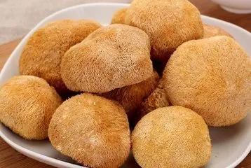 Лидер продаж 2018, противоканцероидный сушеный гриб Львиной гривы