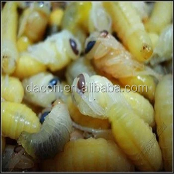 
supply Lyophilized bee Larva Powder 