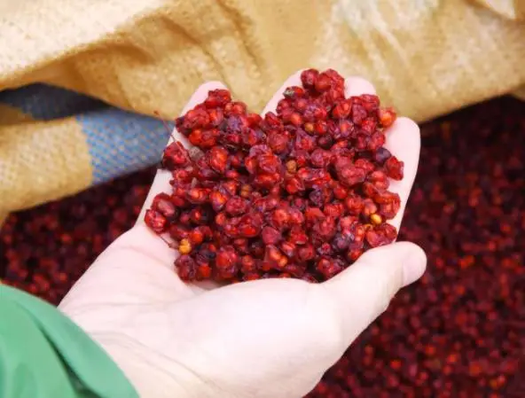 
Natural dried Schizandra berries wu-wei-zi fruits for chinese herbs 