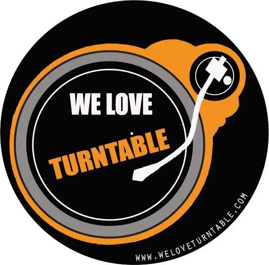 customize Slip mat for Turntable vinyl record