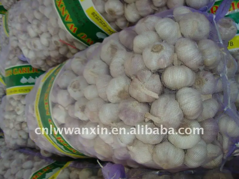 
price of garlic 