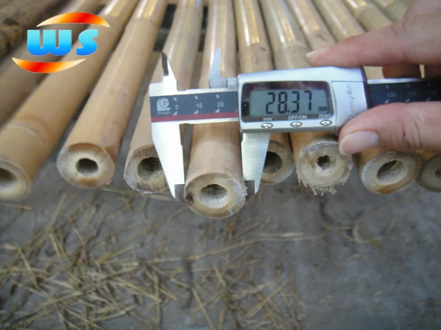 Tonkin bamboo  cane