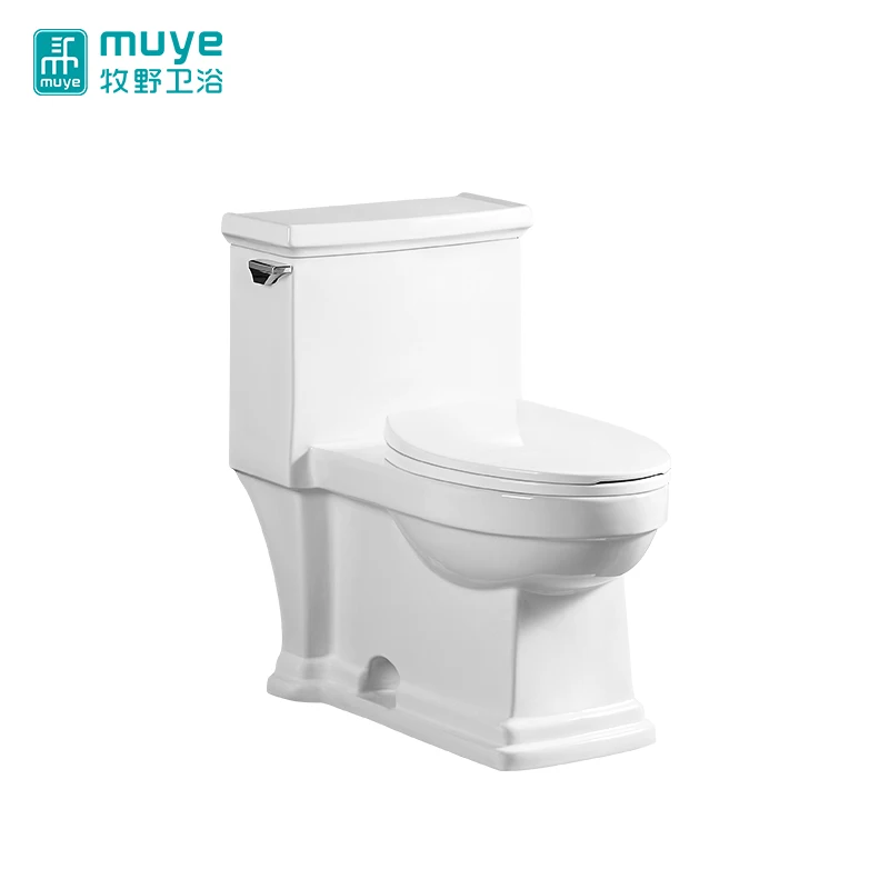 Personality Side Push Button Design Floor Install Siphonic Sanitary Ware One Piece Toilet