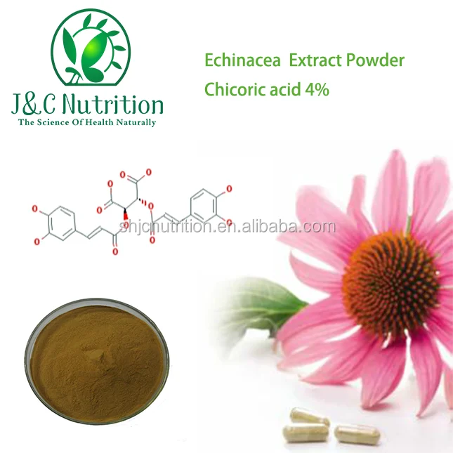 Free sample of echinacea purpurea root extract, echinacea herb extract, 1%-4% polyphenol ,2% cichoric acid