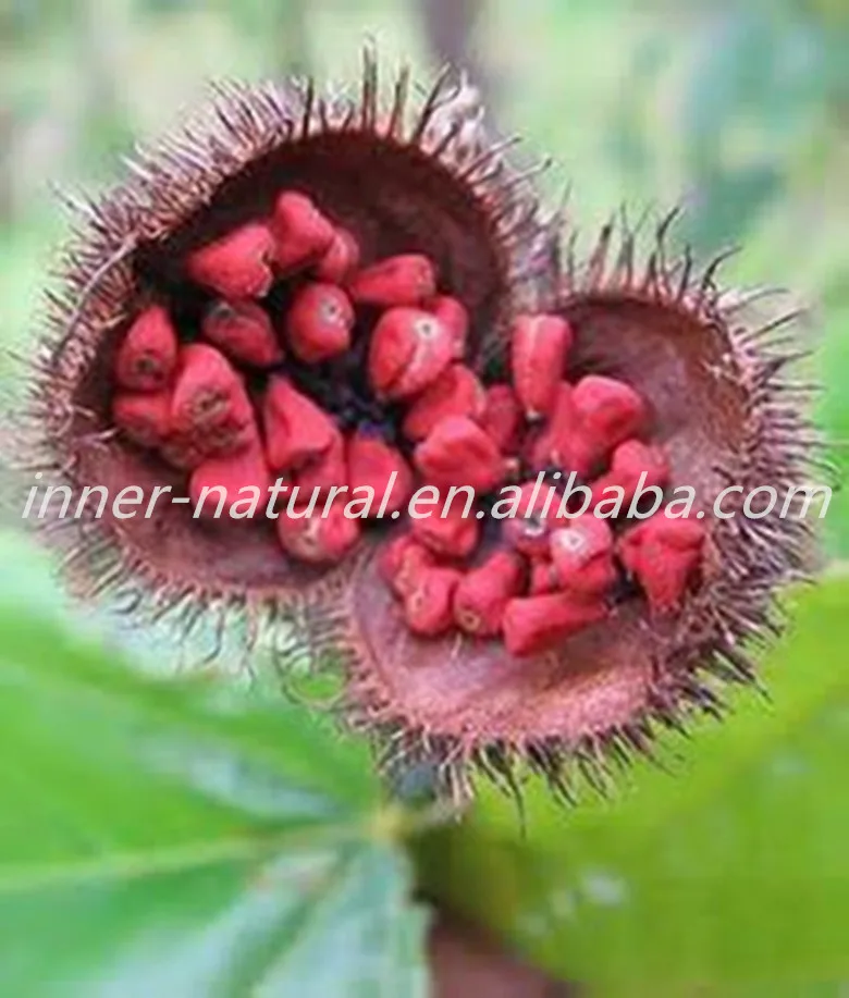 100% Natural Annatto Extract (Bixin 5%)