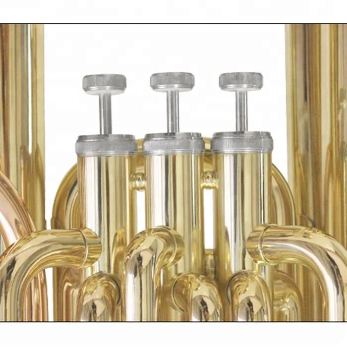 
Accept OEM Dasheng Music DSTU-511 Bb Tuba 