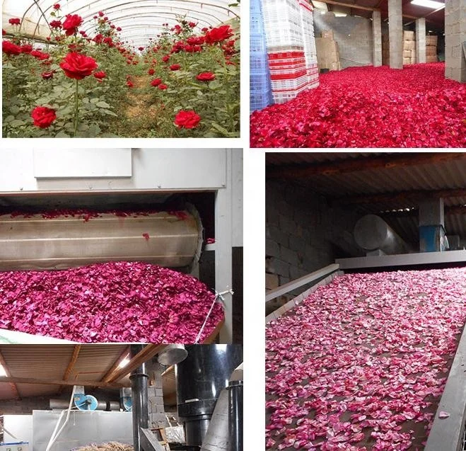 High Quality rose petals organic dry rose flower dried rose petals